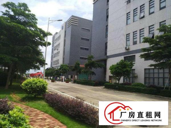 
		惠州市三栋镇新建10万平方标准厂房出租
	
