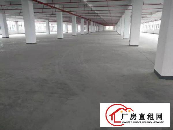 
		惠州市三栋镇新建10万平方标准厂房出租
	