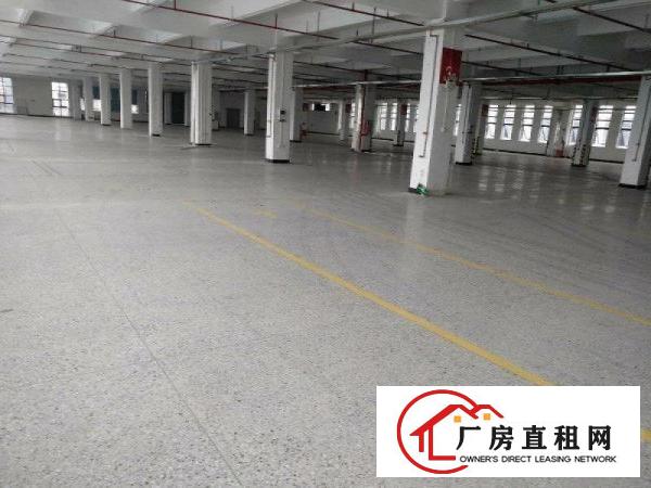 
		惠州市三栋镇新建10万平方标准厂房出租
	