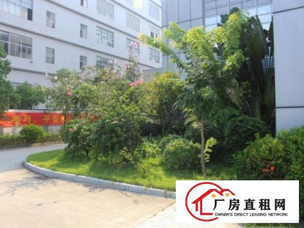 
		三栋原房东厂房5600平方出租，原做食品厂有无尘车间
	
