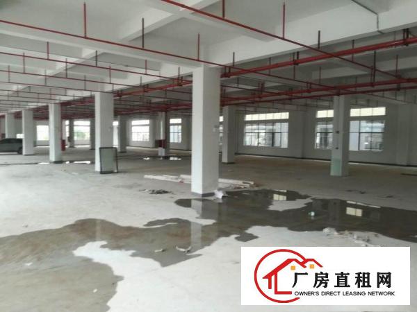 
		三栋大型工业园带电梯2900平方出租可分租
	