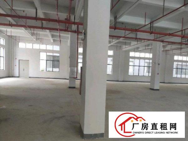 
		三栋镇工业园独栋一楼1100平米厂房出租空地大
	