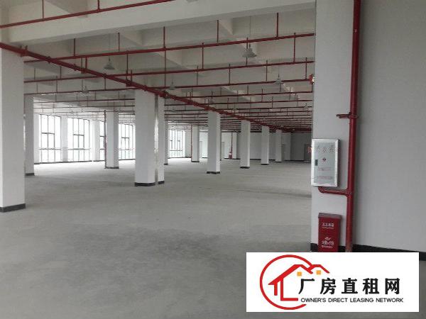
		三栋数码园标准厂房11000平方豪华装修办公室大小可分租
	