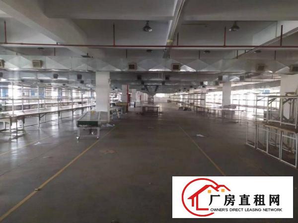 
		惠州惠城区三栋镇花园式可分租原房东标准厂房
	