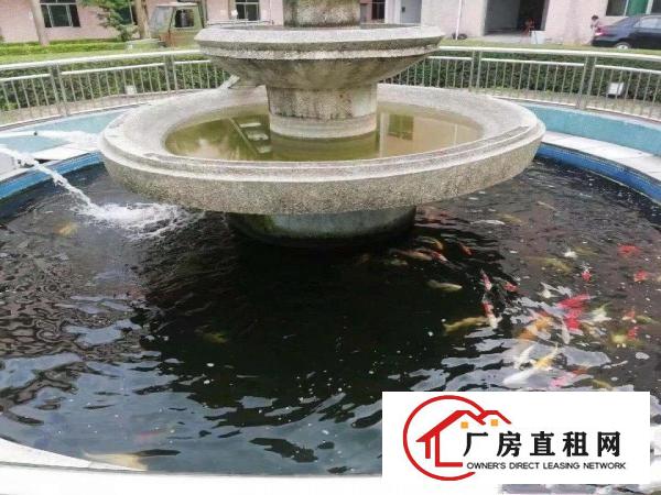 
		惠东县白花镇成熟工业区1楼1500,3楼1500出租
	