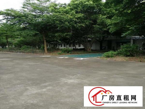 
		惠东白花太阳坳8560平米独院厂房出租
	