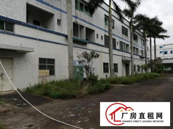 
		惠东白花太阳坳8560平米独院厂房出租
	