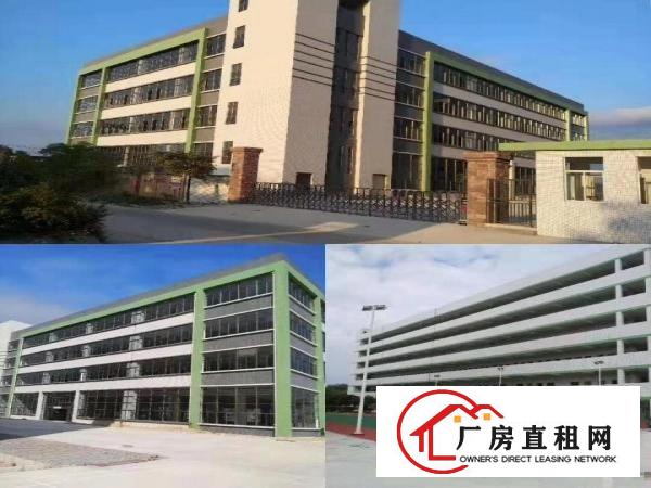 
		惠东白花独院标准全新厂房17000平行业不限可分租
	