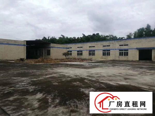 
		惠东县白花新出钢结构厂房行业无限钢结构厂房3220平方出租
	