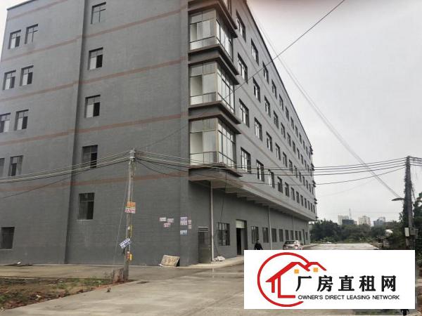 
		惠东白花谟岭5楼2388平米1楼790平米出租
	