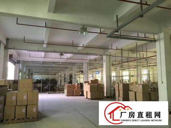 
		惠东县白花独门独院标准厂房8000平方带现成地平漆车间出租
	