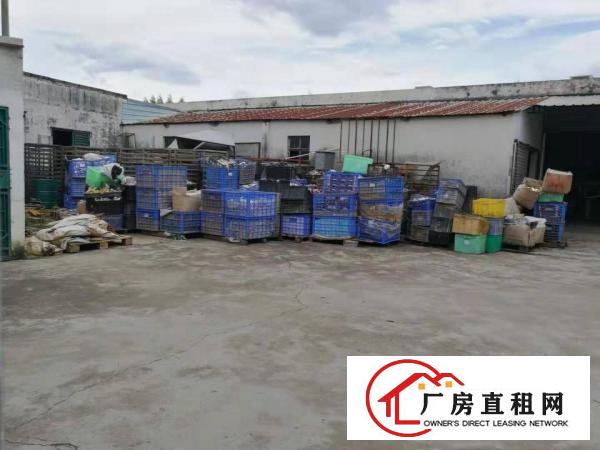 
		惠东县白花主干道旁独门独院厂房2000平方出租带红本可办环评
	