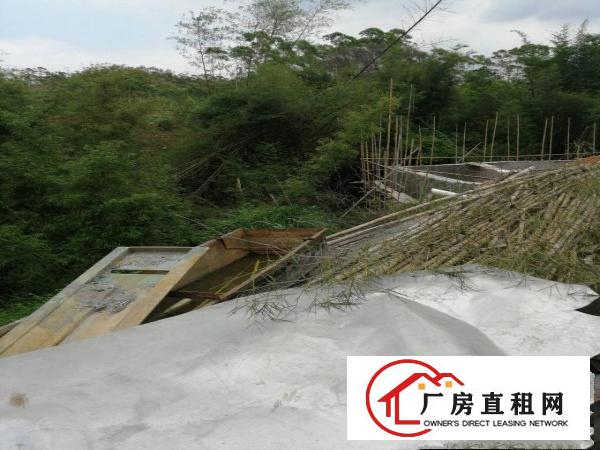 
		惠东县白花镇原房东铁皮房1200平方出租
	