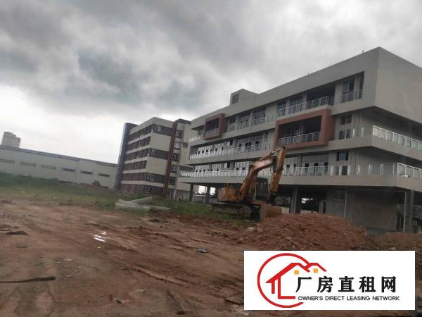 
		原房东！环境优美！空地大！绿化多！电1250kva可过户！
	