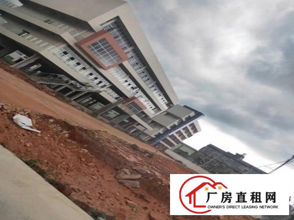 
		原房东！环境优美！空地大！绿化多！电1250kva可过户！
	