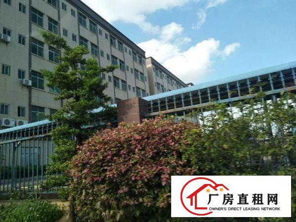 
		高11米罗阳花园式95000平方单层红本钢构厂房宿舍招商
	