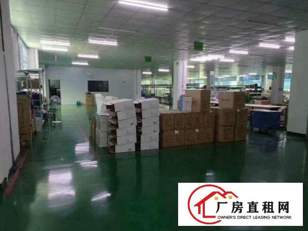
		罗阳观背现成精装修1楼厂房346平出租近镇中心易招工
	