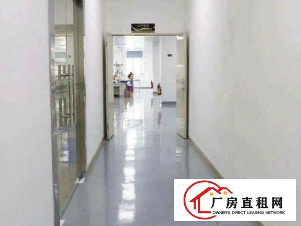 
		现成办公室！罗阳田牌出租楼上1030平豪华装修厂房带地坪漆
	