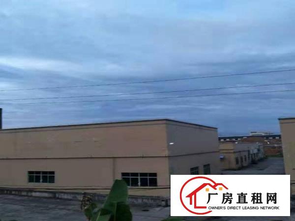 
		龙溪镇原房东单一层分租一栋2000平方
	