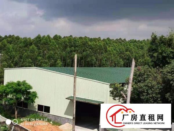 
		龙溪街道独门独院全新单一层滴水8.5米高3800平方厂房出租
	