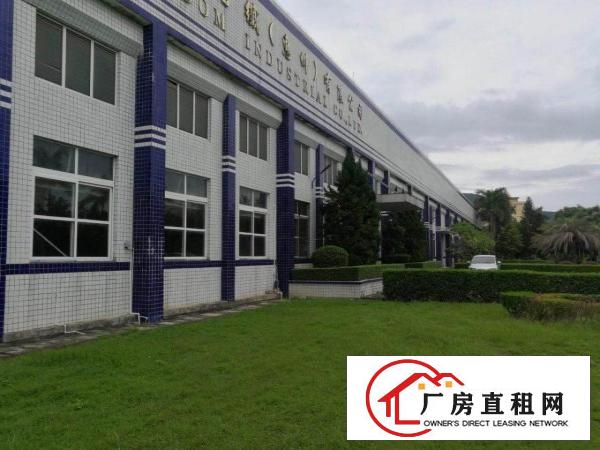 
		龙溪独门独院单一层砖墙到顶滴水11米面积100000厂房招租
	