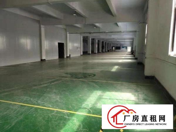 
		龙溪街道一楼标准850平厂房出租带装修现成水电办公室
	