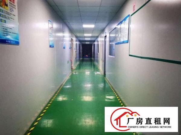 
		惠州龙溪万级无尘车间厂房1400平出租水电齐全设备完善
	