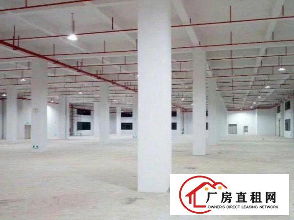 
		龙溪镇标准厂房6600平方米出租,空地大进出方便
	