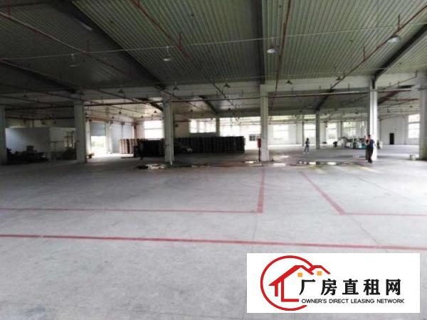 
		博罗单一层精装修办公室5000平标准厂房一楼带宿舍楼可分租
	