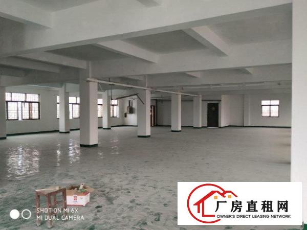 
		园洲客运站路边上小厂房850平方,8元急租好招工
	
