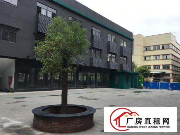 
		园洲独门独院花园式标准厂房出租6850带精装修可办环评
	