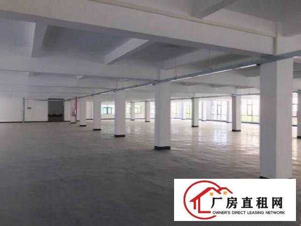 
		园洲独门独院花园式标准厂房出租6850带精装修可办环评
	