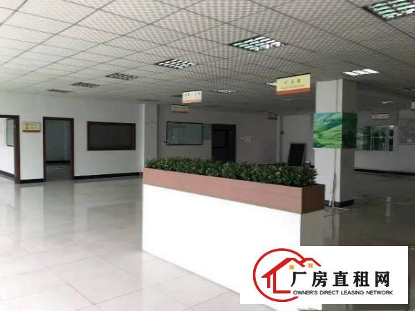 
		园洲独门独院花园式标准厂房出租6850带精装修可办环评
	