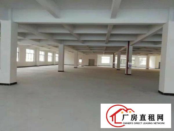 
		园洲标准厂房8000平，可整租可分租
	