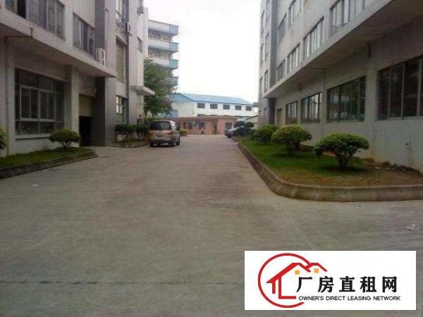 
		园洲厂房出租园洲厂房出售园洲厂房中介公司
	