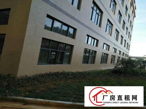 
		园洲全新重工业厂房出租，15层共5800m,包办环评。
	