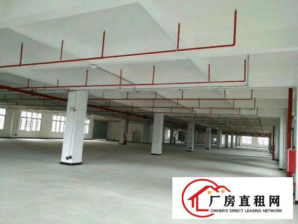 
		园洲全新重工业厂房出租，15层共5800m,包办环评。
	