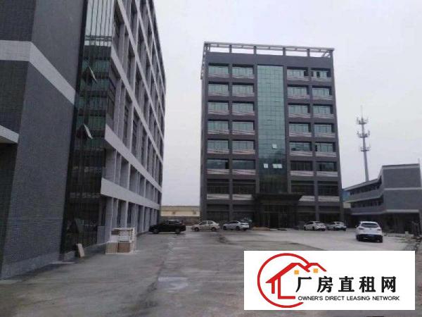 
		园洲镇俊创工业园新建钢结构厂房招租
	