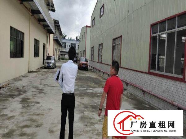 
		园洲镇可以抽粒破碎废品打包家具等行业单一层钢结构招租
	