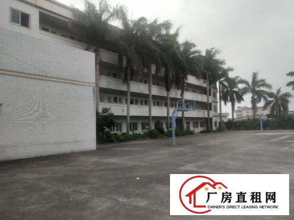 
		园洲福兴工业区花园式独院10000平方出租
	