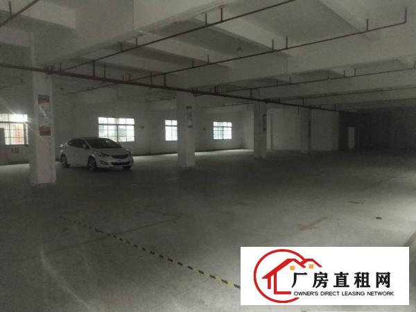 
		园洲福兴工业区花园式独院10000平方出租
	