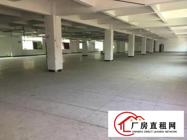 
		园洲厂房出租，5005000平都有，证件齐全，随时看房
	