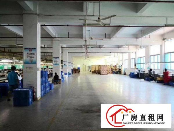 
		园洲镇原房东厂房出租1500可做气味粉尘噪音小污染
	