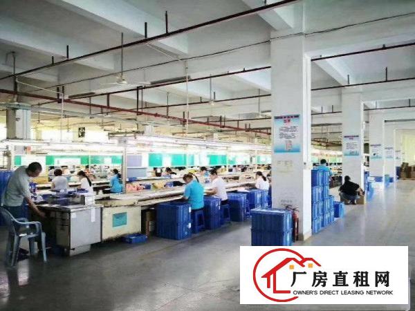 
		园洲镇原房东厂房出租1500可做气味粉尘噪音小污染
	