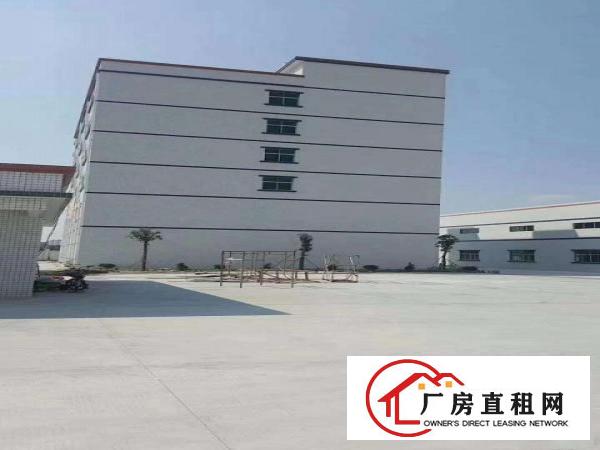 
		园洲钢构厂房红本砖墙到顶重工业厂房出租原房东牛角
	