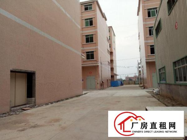 
		园洲镇原房东独院厂房出租可分租工业用地包办环评
	