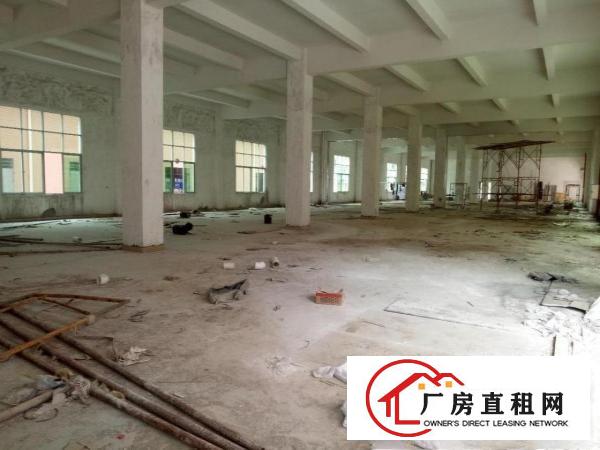 
		园洲镇原房东独院厂房出租可分租工业用地包办环评
	