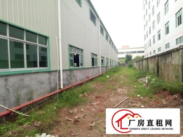 
		园洲镇原房东独院厂房出租可分租工业用地包办环评
	