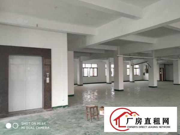 
		园洲镇原房东厂房出租1800可做气味粉尘噪音小污染
	