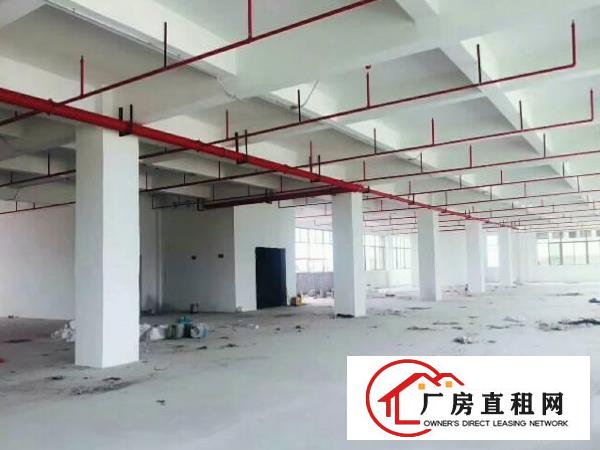
		惠州博罗园洲原房东一楼厂房1800平方招租
	